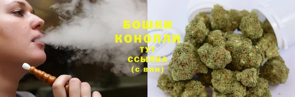 прущая мука Инсар