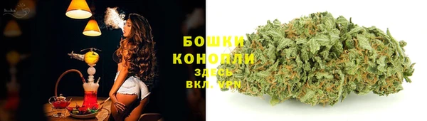 винт Каменка