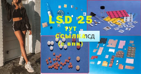 прущая мука Инсар