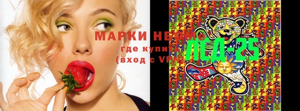 прущая мука Инсар