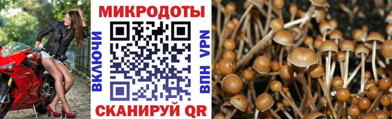 Псилоцибиновые грибы MAGIC MUSHROOMS  Купить закладки  Княгинино 